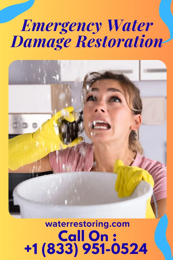 Emergency Water Damage Restoration in Endeavor, WI