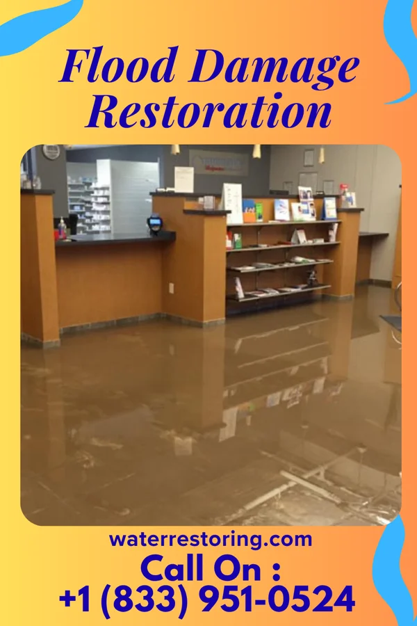 Flood Damage Restoration in Endeavor, WI