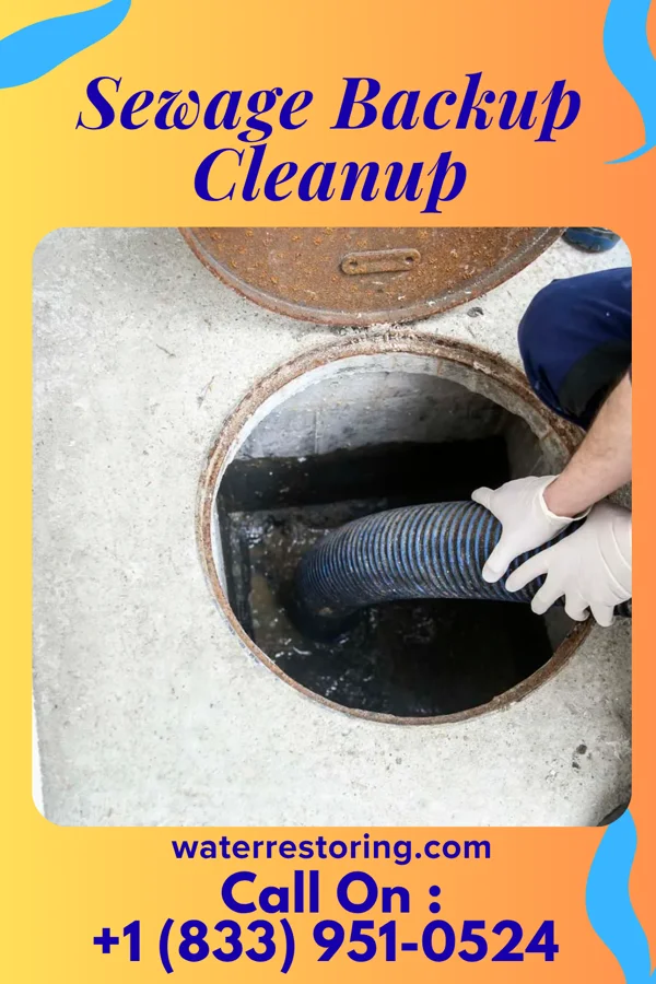 Sewage Backup Cleanup in Endeavor, WI